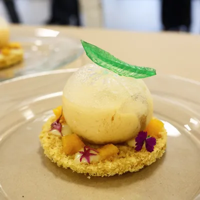 Plat a concurs